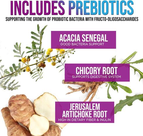 Daily Probiotic and Prebiotic Supplement, 60 Billion CFU Capsule for Women & Men, 10 Diverse Strains, 120 Capsules