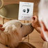 Pregnancy Announcement for Uncle, Baby Announcement Card for Uncle, Promoted from Dog To Human