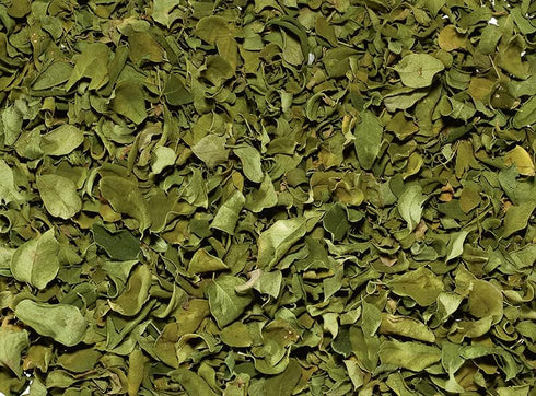 Starwest Botanicals Certified Organic Moringa Oleifera Leaf - Great for Drinks, Teas & Smoothies, 4 Ounce