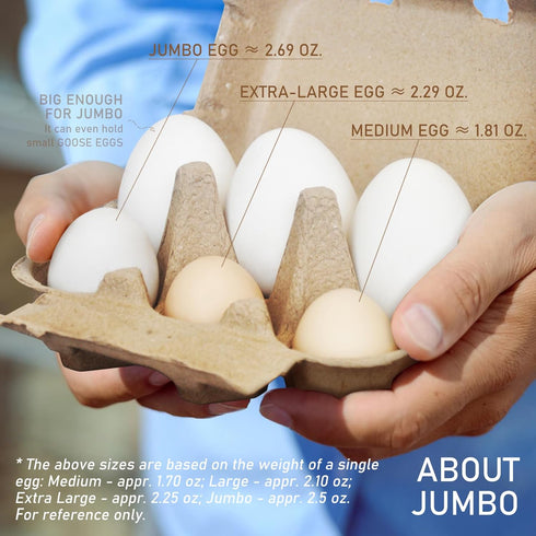 HavRixor 20 Pack- Dozen 6 Count Jumbo Duck Egg Cartons Holds Up to Half Eggs Bulk Blank Container Empty Cardboard