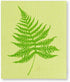 Set 2 (6.5x8 Abbott Collection Fern Leaf Amazing Swedish Dish Cloths, of - Cellulose/Cotton L)