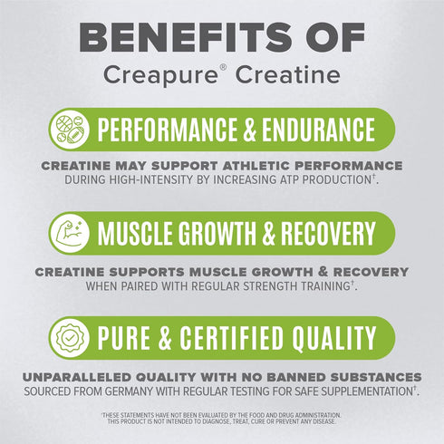 BIRDMAN High-Purity Creatine Monohydrate Unflavored Powder, Pre-Workout, High Performance, 300g