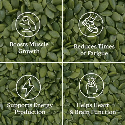 Nature’s Sunshine Magnesium Complex - High Potency Supplement for Muscle Function, Energy Production, 50 Servings (100