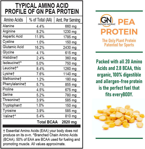 Raw Pea Protein Powder, Vegan Plant Based, Low-Carb, Low-Sugar, Original Unflavored, 1 Pound (Pack of 1)