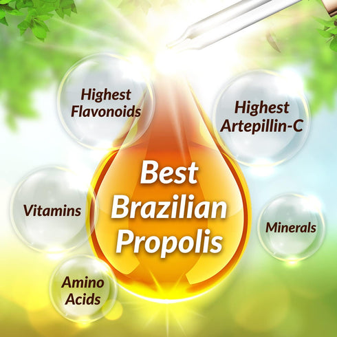 AFC Japan Brazilian Green Propolis Extract, Highest Artepilin C & Flavonoids, Premium Quality Immune Booster