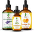 SVA Lavender, Orange & Chamomile Essential Oil Bundle Super Saver Combo Premium