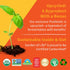 Garden of Life Dr Formulated Probiotics - 30 Billion CFU Pre + Pro + Postbiotics for Digestive Support