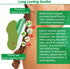 Neck Patches - 24 Count Maximum Strength Herbal Plaster Heat Patches for Joint Soreness Soothing Relief