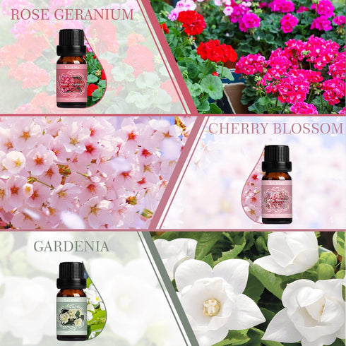 Set, Set SALKING Spring Fragrance Oils Premium Essential Oils Gift for Diffuser, Scented Oil for Soap & Candle Making