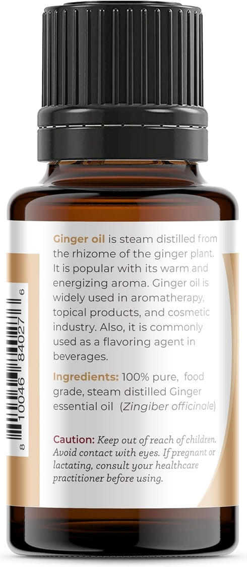 Viva Doria 100% Pure Ginger Essential Oil, Undiluted, Food Grade, 0.5 Fluid Ounce (15 mL) Natural Aromatherapy