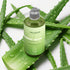 infaseve Aloe Lube Water Based Lubricant, Long-Lasting Wet Lube for Privacy and Sex
