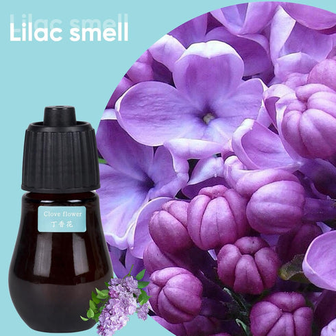 Aromatherapy Essential Oil Set - 3-Piece Essential Oil Set in Three Flavors: Sandalwood, Gardenia, Clove Flower