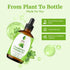 SVA Peppermint Piperita Essential Oil – 4 Fl Oz – 100% Natural for Diffuser, Hair Care, Skin Care, Aromatherapy