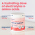 NativePath Native Hydrate Electrolytes Powder with BCAAs, Zero Sugar, Mixed Berry Hydration Powder, Keto & Paleo