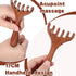 Tweruna 2 6 PCS Wooden Massage Comb Claws, Wooden Head Foot Massager Scalp, Wood Therapy Massage Tools for Head, Back
