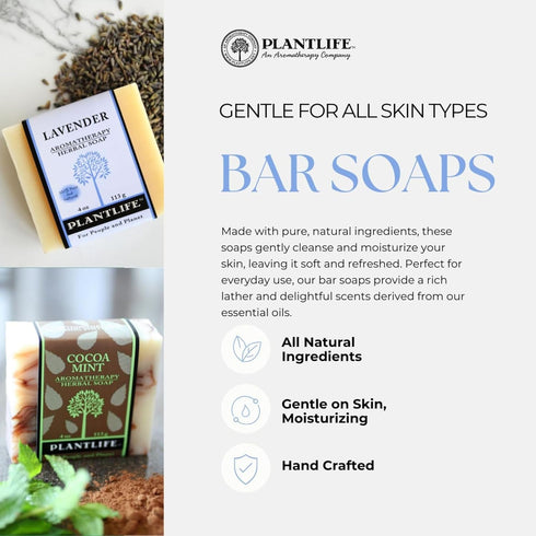 Plantlife Pumpkin Spice Bar Soap, Moisturizing and Soothing, 4oz Bar