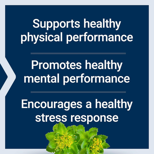 Life Extension Rhodiola Extract | 250 mg | 60 Capsules | Promotes Physical and Mental Performance