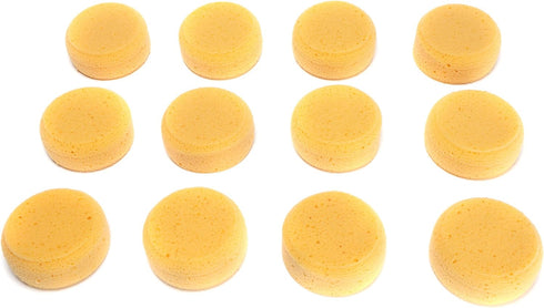 LTWHOME 3-1/2 Inch Synthetic Super Thick Silk Sponges - Artist Sponges for Painting, Craft, and More (12 Pack)