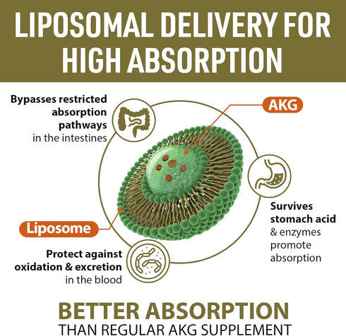 Liposomal Calcium AKG Supplement 1500 MG - High Absorption for Longevity & Cellular Energy, 60 Softgels