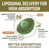 Liposomal Calcium AKG Supplement 1500 MG - High Absorption for Longevity & Cellular Energy, 60 Softgels