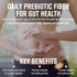Packets, 16 Packs, NaturalSlim Hydration & Energy Drink Mix with Prebiotics, Gut Health Support, Electrolytes Powder