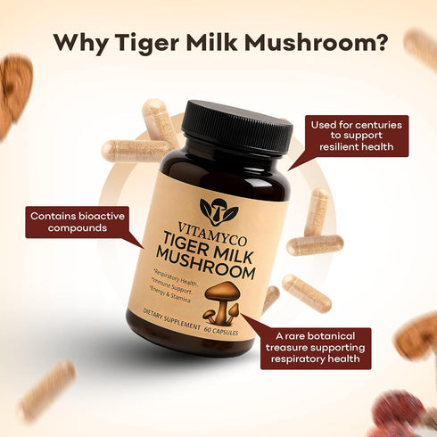 Vitamyco Immune 60 Tiger Milk Mushroom Supplement (Lignosus Rhinocerus), Natural Respiratory Health Supplement