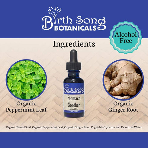 Upset 1oz Birth Song Botanicals Stomach Soother Tincture Herbal Digestion Support Supplement for Stomach & Motion