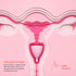THE HELLO CUP 1 Large Menstrual Cup, BPA Free, Reusable, Hypoallergenic, Recyclable, Medical Grade TPE, No Silicone, No