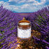 Indigofairs 7oz 40 Lavender Scented Candle - Soy Wax Aromatherapy Candle for Stress Relief & Relaxation Hours Long