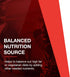 Protocol L-Carnitine 500mg, Supports Metabolic Health & Energy Production, 60 Veg Caps