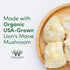 Organic Lions Mane Mushroom Capsules, 120 Count, for Brain Support and Immune Health, by Double Wood
