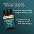 Dr. Mercola Niacinamide Vitamin B3, 90 servings - 270 tablets, Non-Flushing Dietary Supplement for Metabolic Health