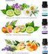 LOXIM Golden Bloom Essential Oil Set of 3 (Midsummer Rain, Starry Night, Silver Sea)
