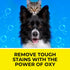 Professional Strength Oxy Carpet Cleaner Solution, Deodorizer for Carpet Shampooer Machine for Pet Stains