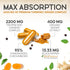 Turmeric Curcumin Supplement 2600mg with Organic Ginger & Turmeric, 95% Curcuminoids, BioPerine for Best Absorption