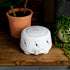 Yogasleep Dohm UNO White Noise Sound Machine (White) With Real Fan Inside for Non-Looping White Noise, For Travel