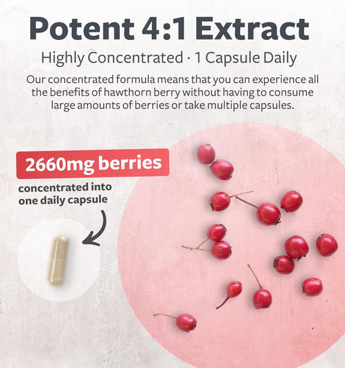 Super Potent Hawthorn Berry Extract Capsules - Vegan Non-GMO & Gluten Free Hawthorn Berry Supplement made from Extra