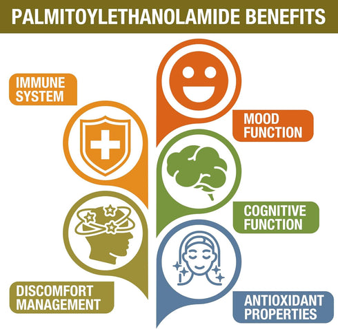 1500 MG Palmitoylethanolamide with Luteolin 98% & Turmeric, High Absorption Micronized Pea Supplement, 60 Tablets, USA