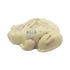 WFG WATERFALL GLEN SOAP COMPANY, LLC, Timothy Frog Soap, Cedar Wood and Sandalwood, Vegan, Natural Frog Bath Soap with