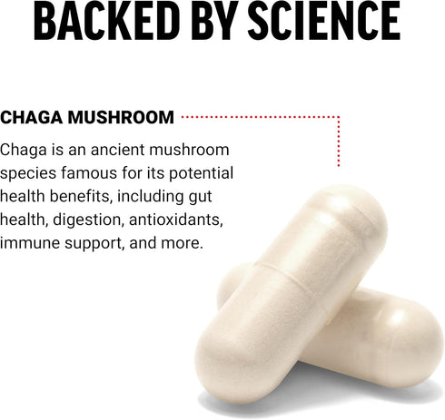 FORCE FACTOR Chaga Mushrooms Capsules, Vegan Mushroom Supplement for Gut Health and Digestion, 120 Capsules