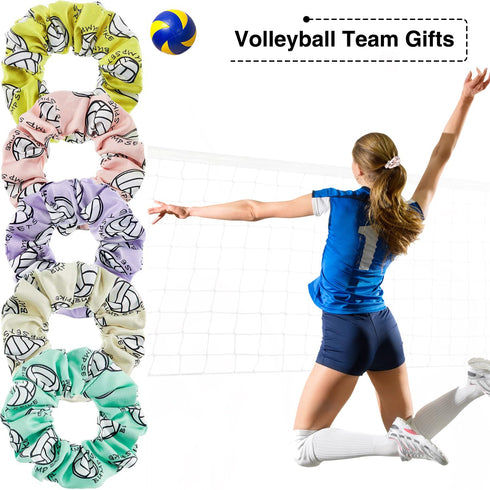WILLBOND 12 Pieces Silk Hair Scrunchies, Volleyball Sport Hair Ties, Satin Bands for Women, Multicolor