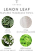 Thymes 3 Oz Fragrance Mist - Lemon Leaf