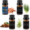 Sandalwood, Vetiver, Cinnamon and Rosemary Essential Oil Set, 100% Pure Diffuser Oil