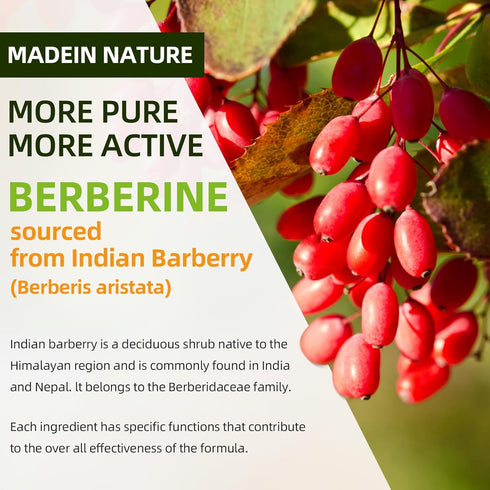 Berberine Gummies with Ceylon Cinnamon 1500mg High Potency Supplement for Immune and Metabolism Support