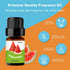 Fruity Fragrance Oil Set 5ml x 10 - Holamay Premium Essential Oils for Candle & Soap Making - Coconut, Strawberry & More