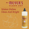 Mrs. Meyer's Liquid Dish Soap, Apple Cider, 16 OZ (Pack of 1)