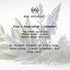 Muse Apothecary Room Ritual - Aromatic Relaxing Room Mist, 8 oz, Infused with Natural Essential Oils