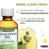 De La Cruz Eucalyptus Essential Oil, 100% Pure Steam Distilled Eucalyptus Globulus, 4 FL OZ, Aromatherapy for Diffuser