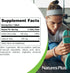 NaturesPlus Icelandic Kelp | 150 mcg Iodine; 150 mg Kelp | 300 Vegetarian Tablets | Natural Iodine Supplement |
