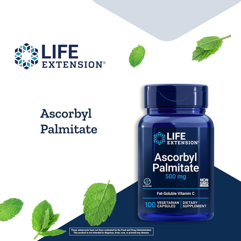 Life Extension Ascorbyl Palmitate 500mg, 100 Capsules for Immune Support and Longevity, Non-GMO